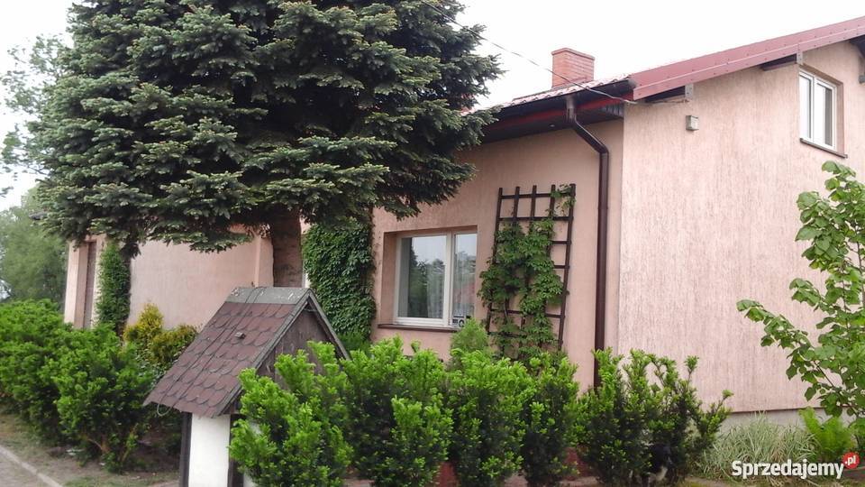 Sprzedam dom 300 m2 i działka 1ha staw cegła Kramsk sprzedam