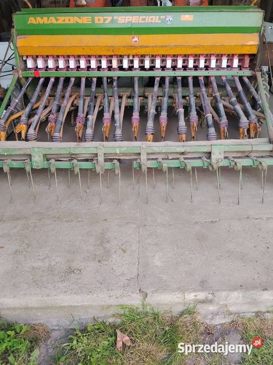 Siewnik Amazone wielkopolskie Rozdrażew