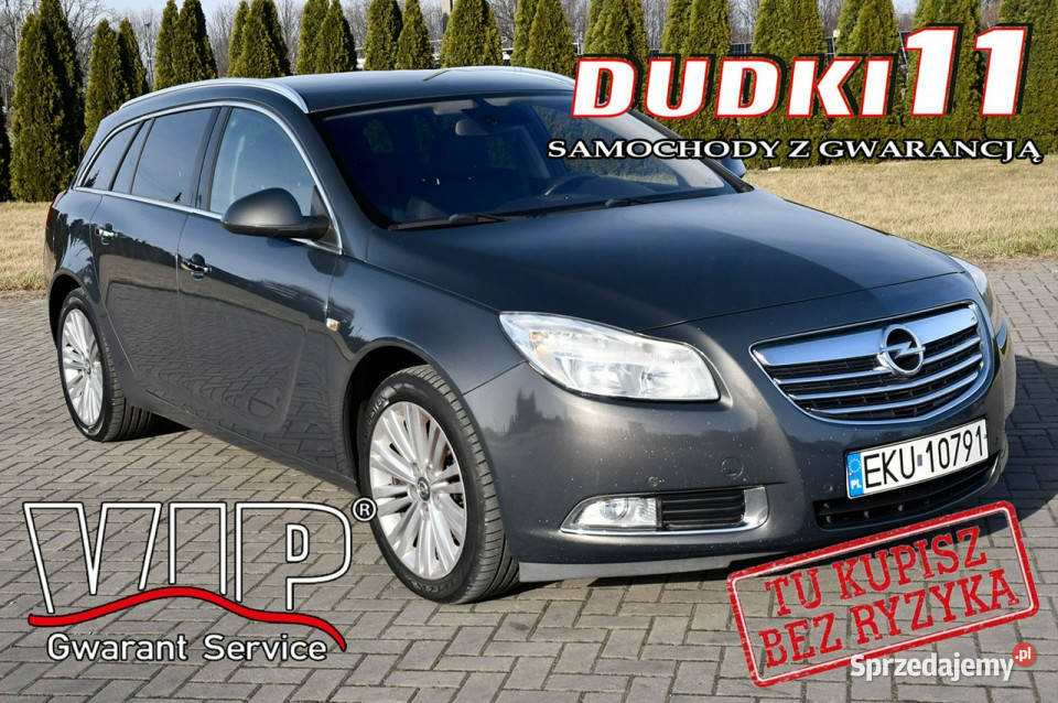 Opel Insignia 20D DUDKI11 Kutno