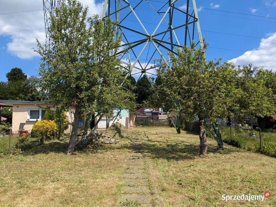 Ogródek działkowy ROD Zacisze Stroszek Bytom śląskie