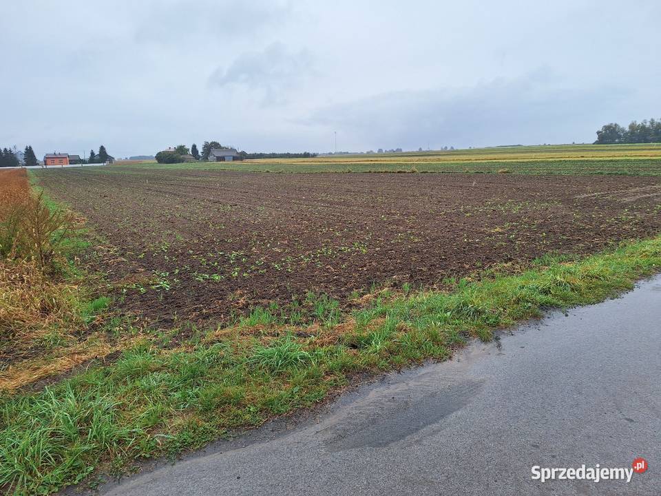 Działka budowlana Krzyżanówka gm Sienno 50000 m2 budowlana