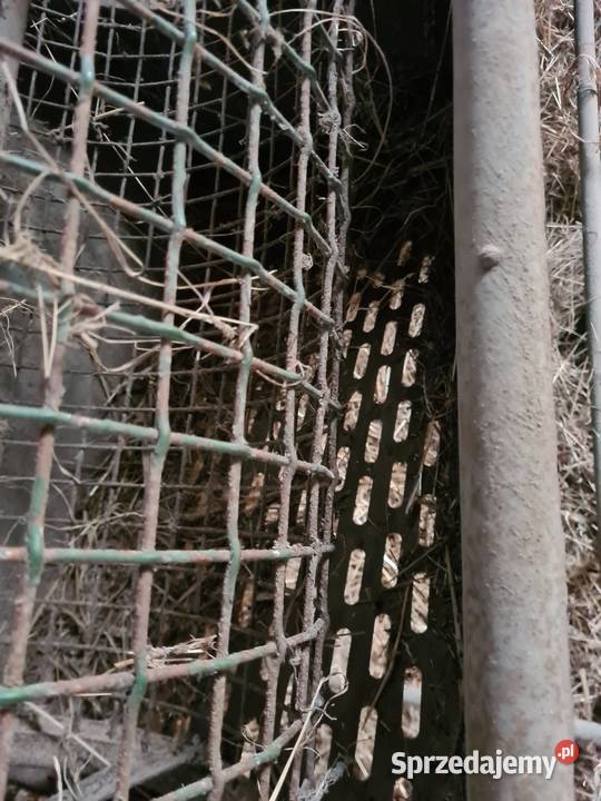 Sito sortownik do ziemniaków Rząśnik