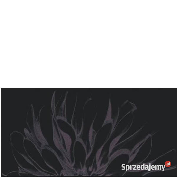 Dekor Apasionate nero B 30 x 60 Paradyż aktualne Białogard