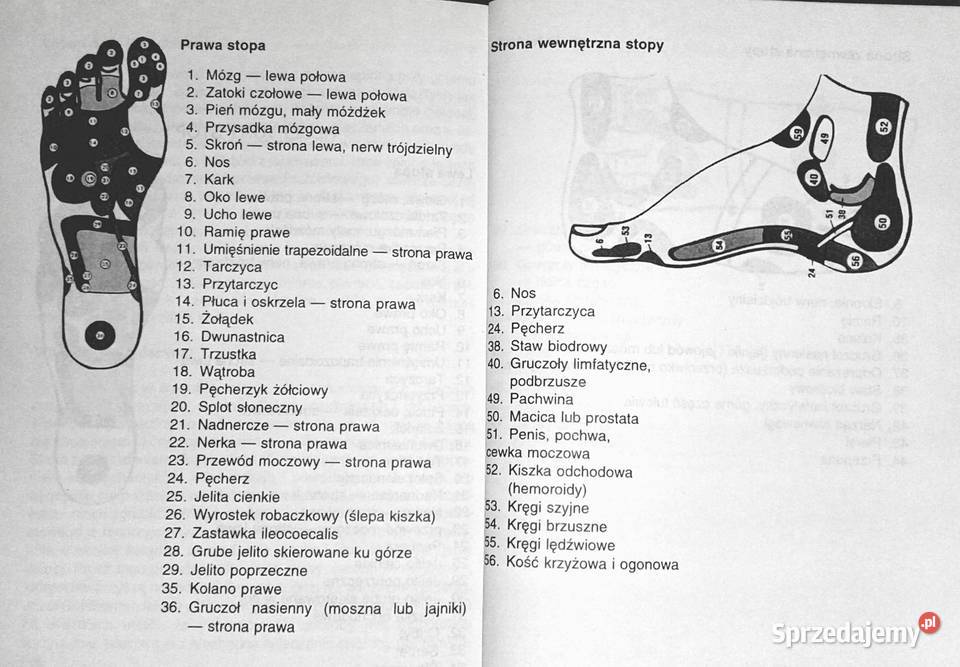 Leczyć możesz się sam Anna Krasowska Rok wydania 1996 Kultura i Rozrywka Chełm sprzedam