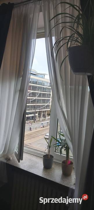 Kawalerka 3436m al Jerozolimskie 21