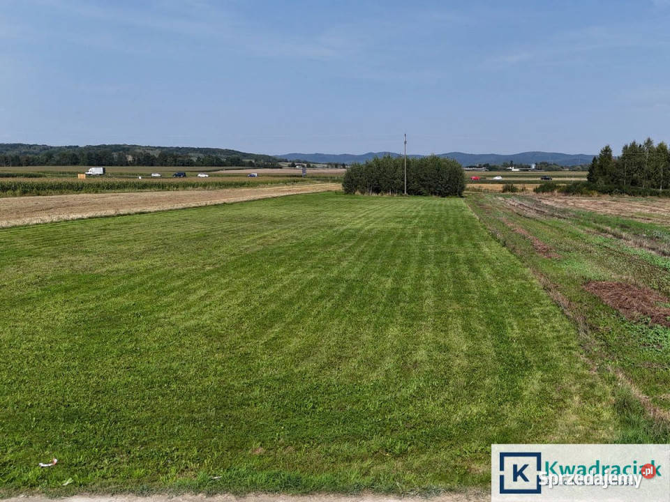 Działka 1650m2 Moderówka 1650m2