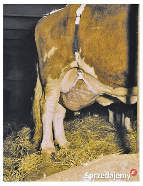 Siatka na wymiona L 1579060416 Kamionna