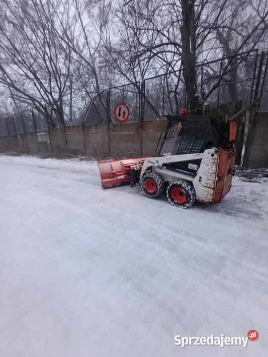 Bibcat 463 nie śląskie