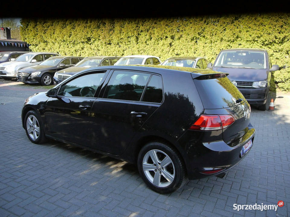 Volkswagen Golf 16tdi 150tkm Stan b 149786km Częstochowa