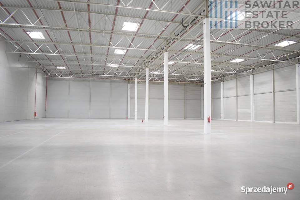 Hala klasy A 2564m2350m2 biursocjalbez prowizji Sady sprzedam