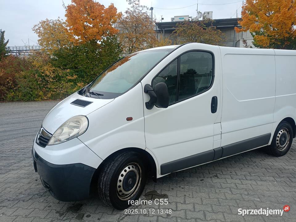Opel Vivaro 20 Diesel 2012 manualna lubelskie Kąkolewnica