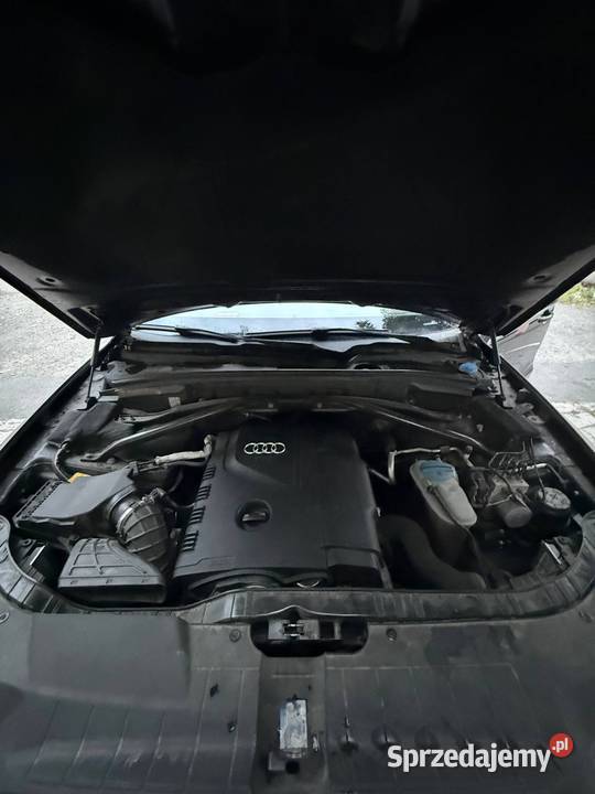 Audi Q5 20 TFSI 2011 2009 lubelskie