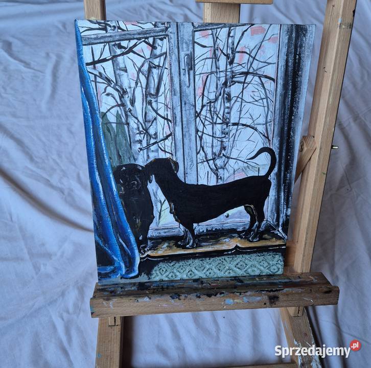 Jamniki jamnik w oknie obraz na płótnie artysty Brzesko sprzedam