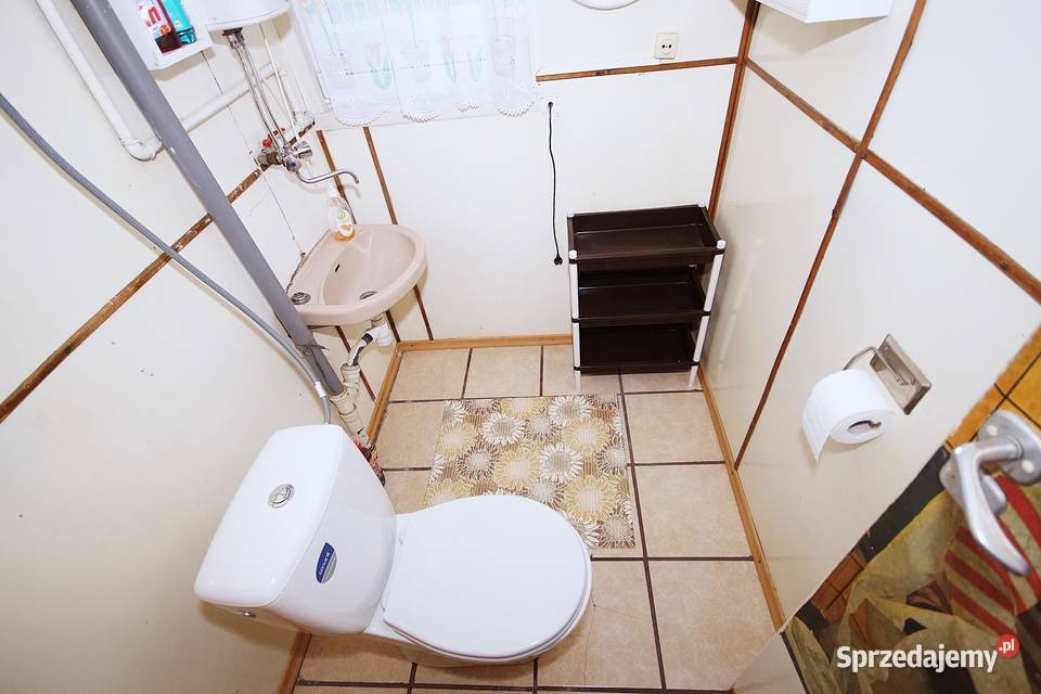 Supraśł gmina Cieliczanka domek w puszczy