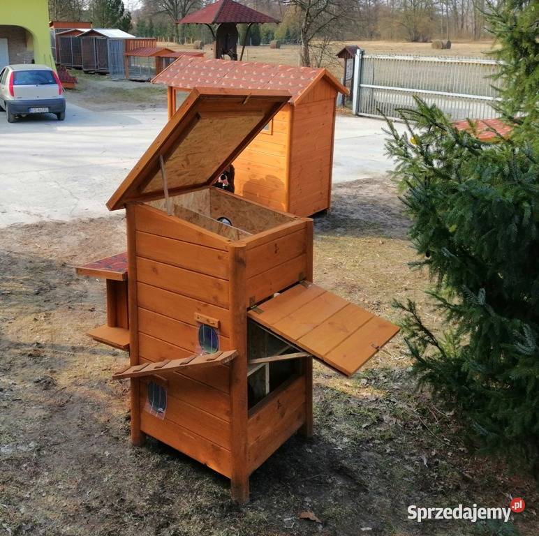 domek kota kotów Andrzejów 6 Skierniewice