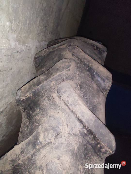 Opony radialne Taurus 124r36