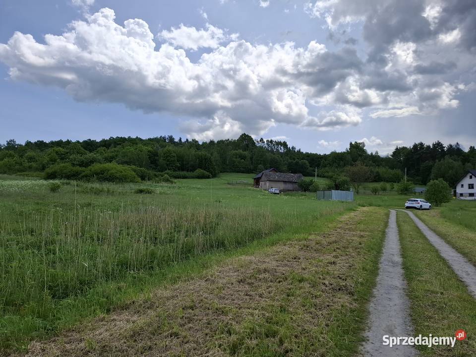 Działka budowlana 975 ar z WZ Osobnica 4153 podkarpackie