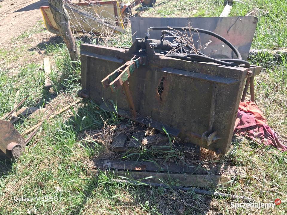 Krokodyl nieuszkodzony