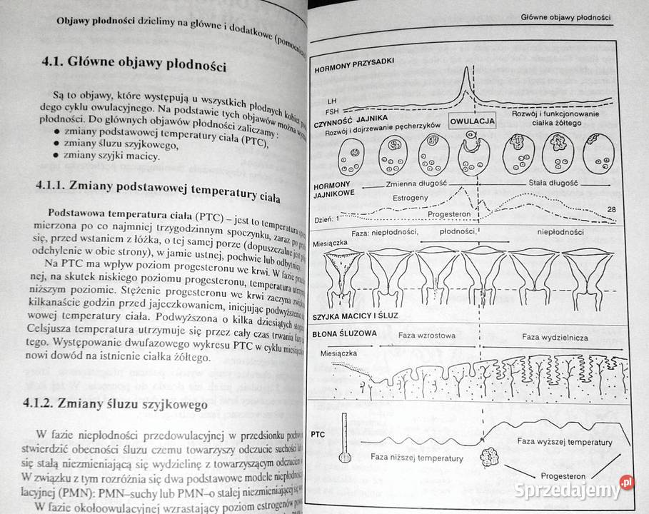 Naturalne planowanie rodziny Aniela Samoć Pozostałe Chełm