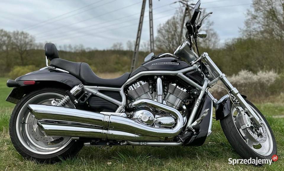 Harley Davidson Vrod nieuszkodzony
