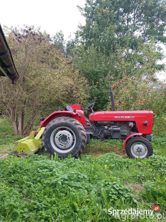 Drobne usługi brukarskie i nie Widawa