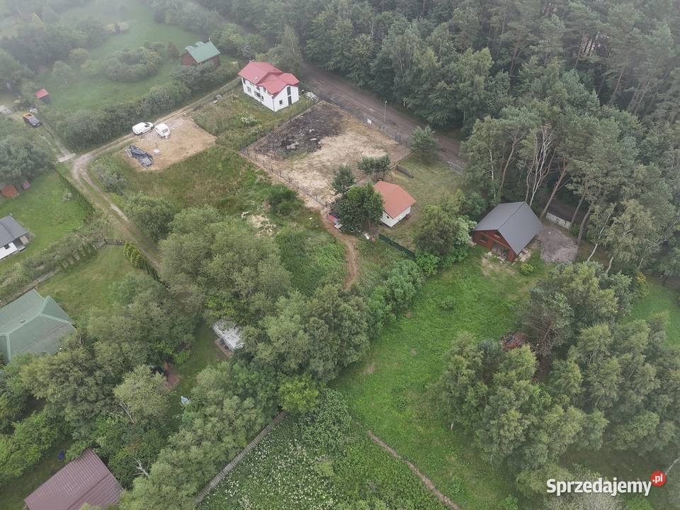 Syndyk sprzeda działkę Ostrowo Kolonia
