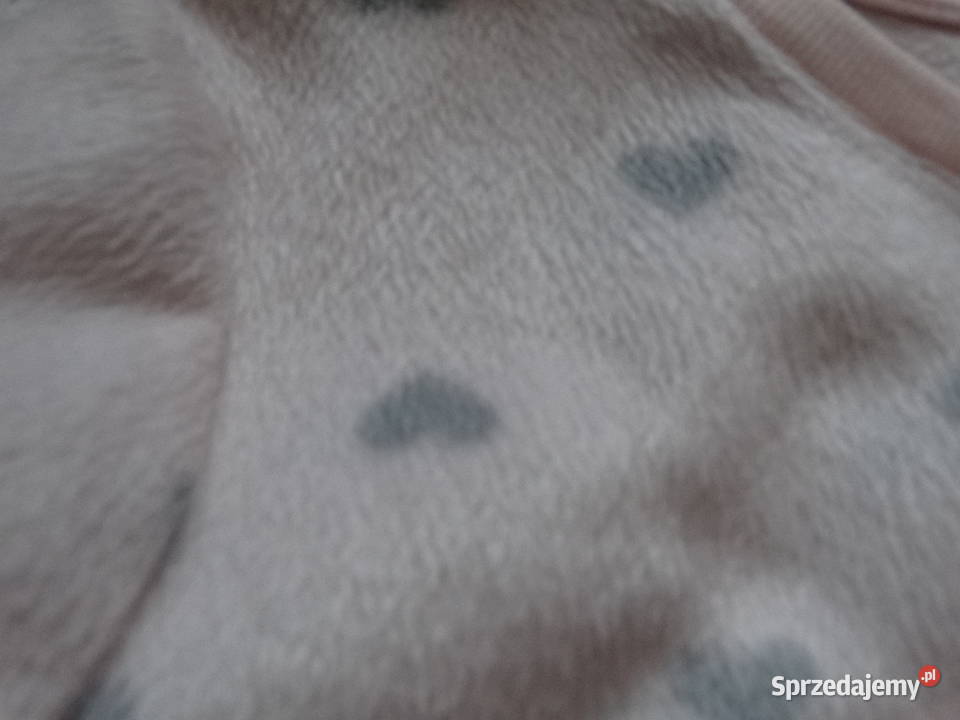 Bluzeczki misiowe ciepłe r140 910lat Legnica