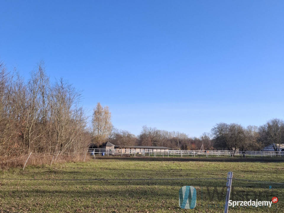 Działka Skierdy 71000m2 inwestycyjna sprzedam