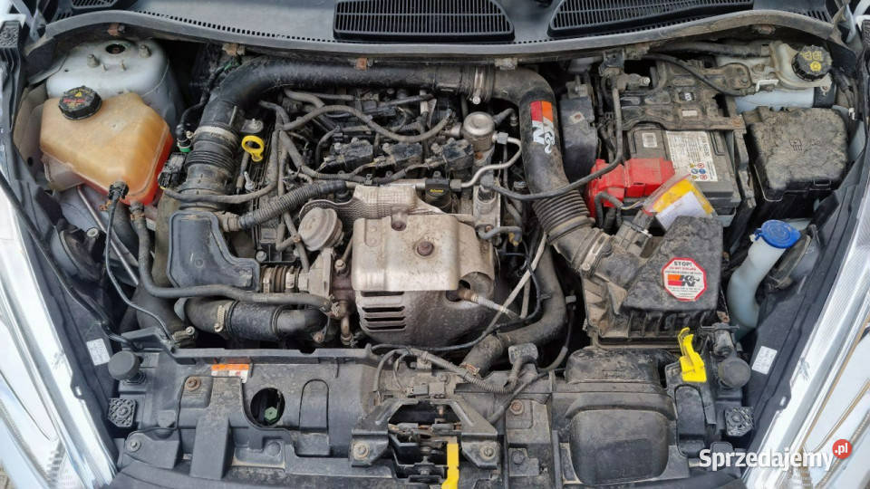 Ford Fiesta ST Line Super Stan Alu Led GWARANCJA Płońsk