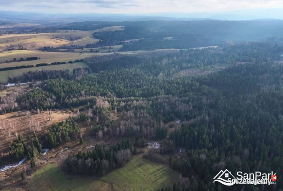 Działka Czarna 11400m2