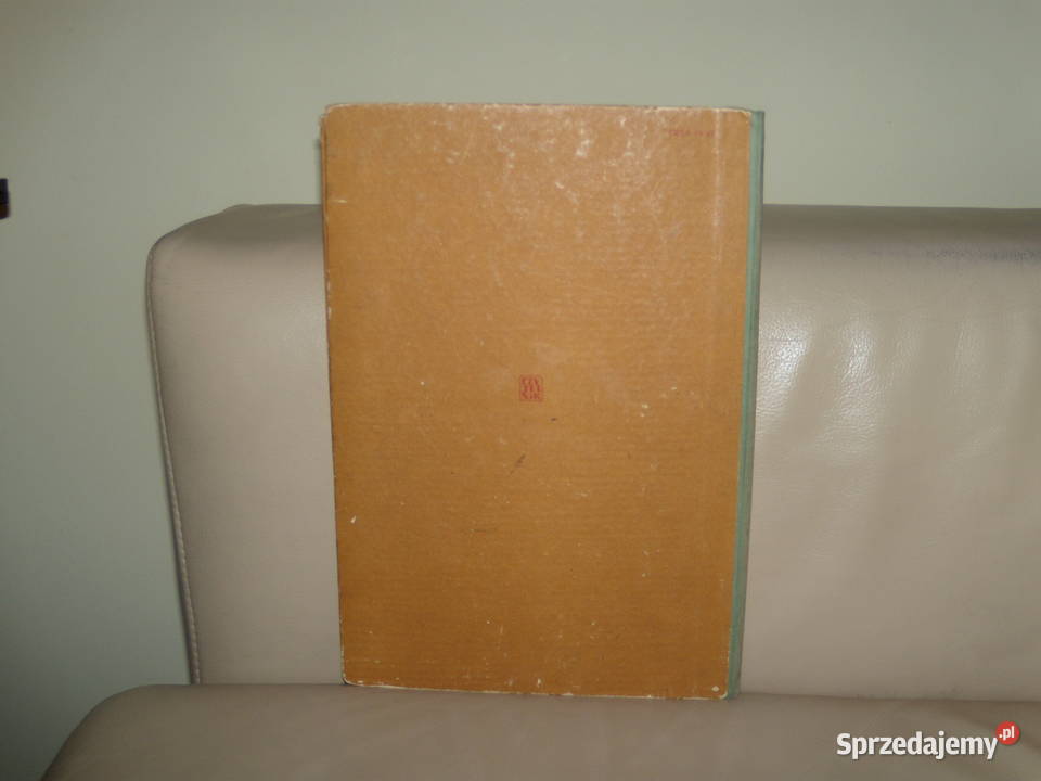 bóbr ukradkiem wędrował z niedźwiadkiem sprzedam