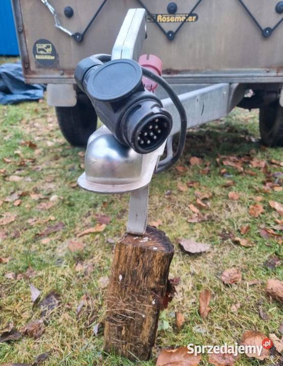 Przyczepka samochodowa Dmc 600 Westfalia Na Motoryzacja Bydgoszcz sprzedam