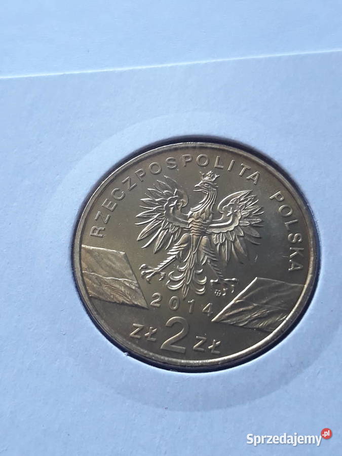2 Konik Polski2014 r Numizmatyka Konin