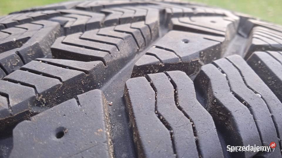 Piękne opony TAURUS 65 Marynin