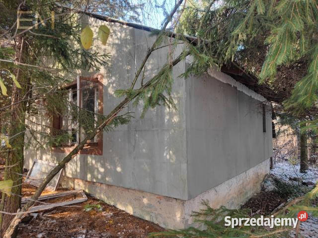 sprzedaży gruntu 6000m2 Babica