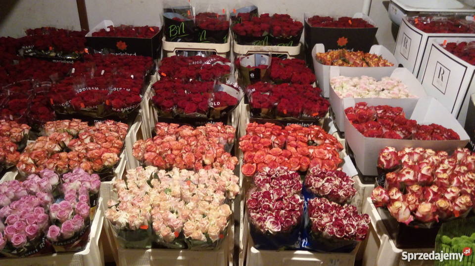 Kwiaty z dowozem Starogard Gdański