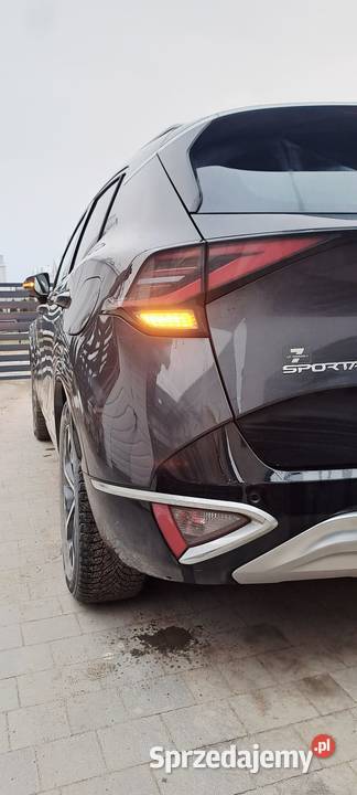 Kia Sportage 16 TGDI Business Line 2WD Sportage Gdynia