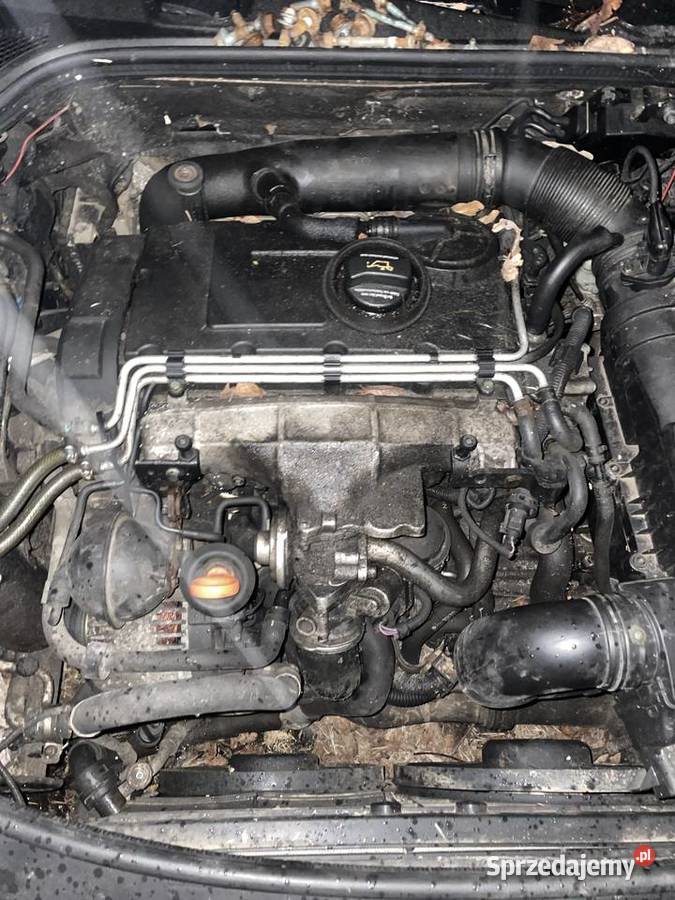 Silnik Audi a3p 20tdi Brzeźnio
