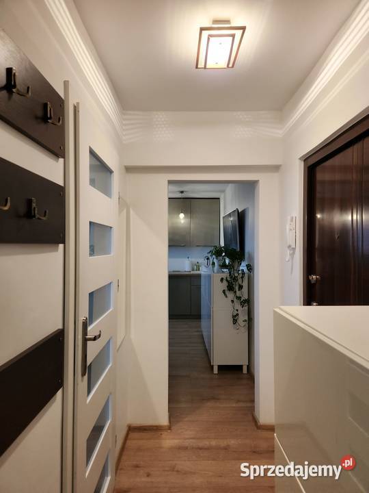 2 pokojowe mieszkanie ciche z tarasem i widokiem Sprzedaż zachodniopomorskie Szczecin