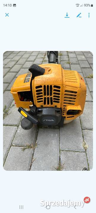 Kosa stiga wielkopolskie