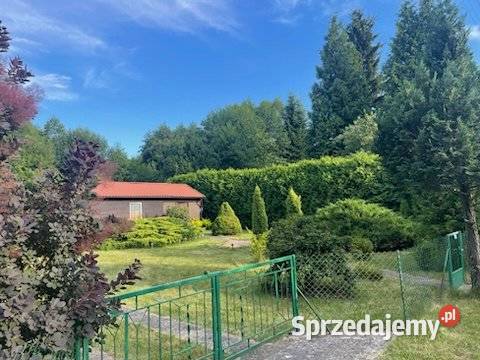 Sprzedam działkę ROD 500m2 Żyrardów