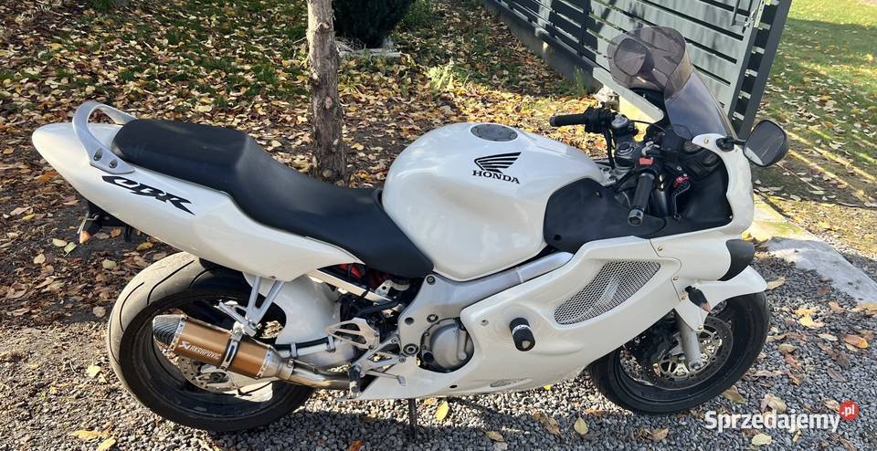 Honda Cbr 600 biały Zamość