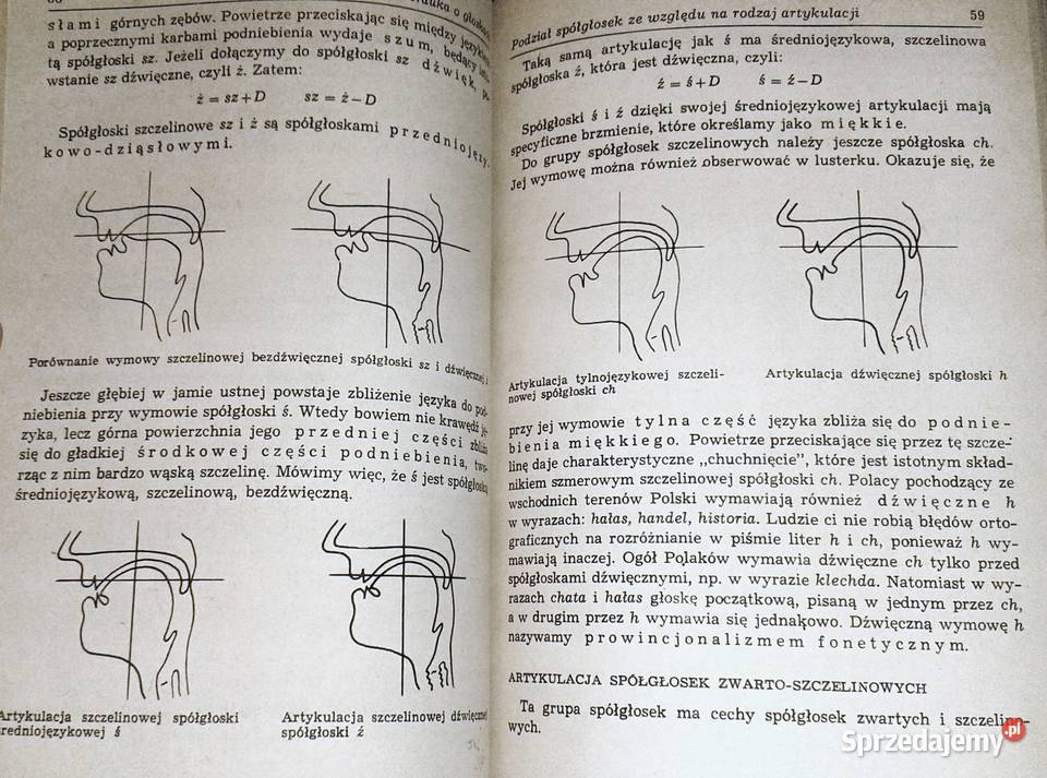 Gramatyka języka polskiego Zarys popularny Piotr Chełm