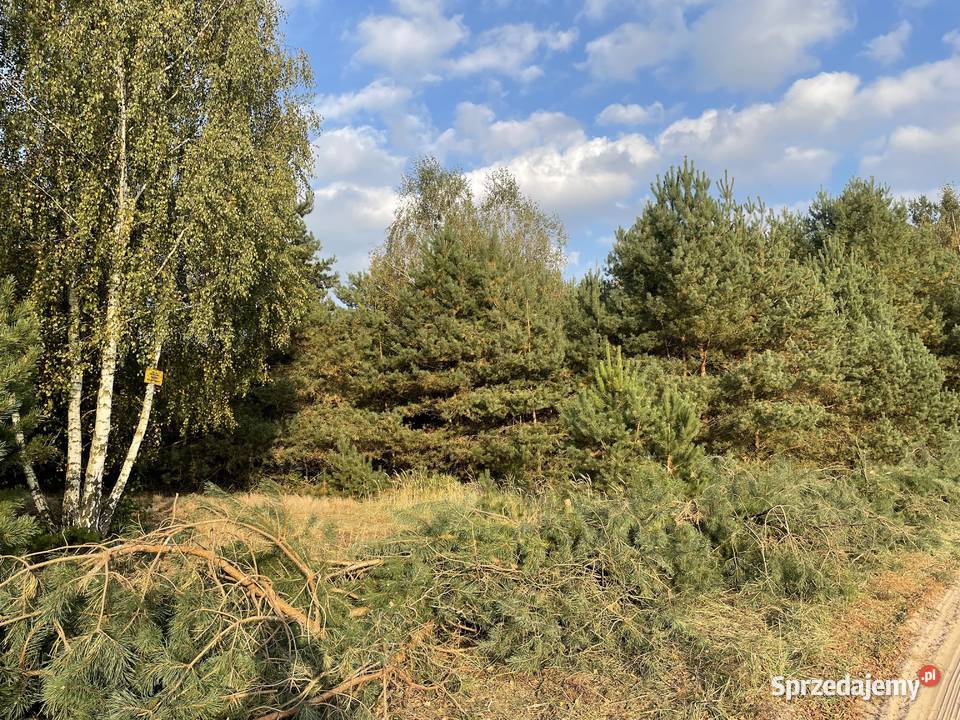 Działka z możliwością budowy domu 60 arów