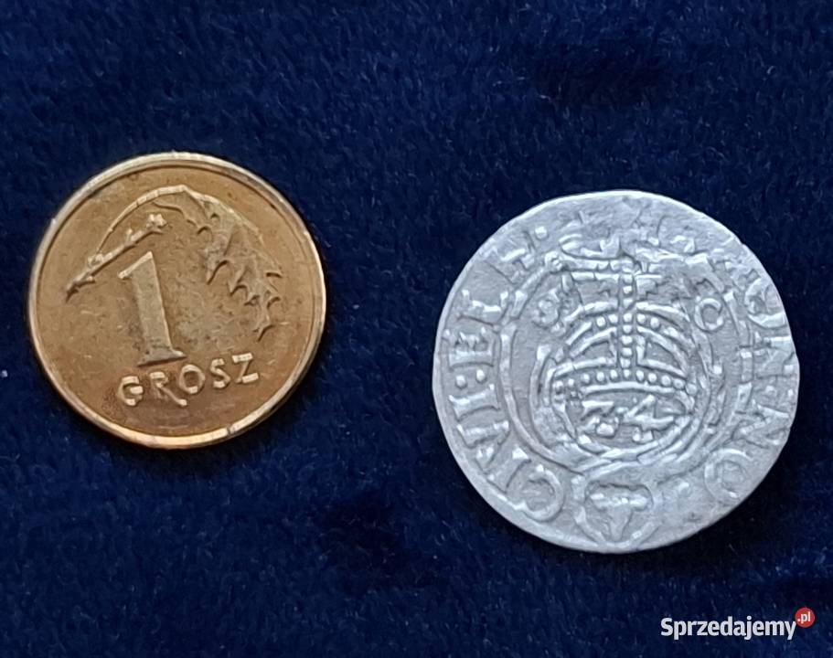 Półtorak Gustaw II Adolf Elbląg 1630 rzadki Wejherowo sprzedam