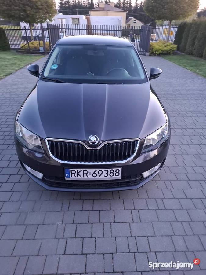 Skoda Octavia lll 16 TDI Octavia Krosno