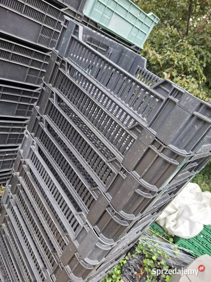 Skrzynki plastikowe owoce warzywa Skrzynki i opakowania Podzborów
