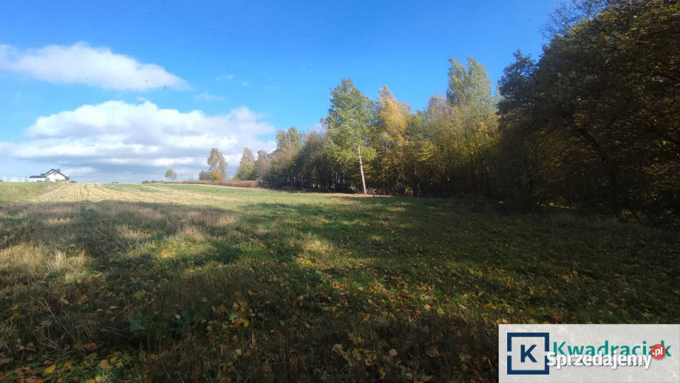 Sprzedaż działki 1837m2 Laski