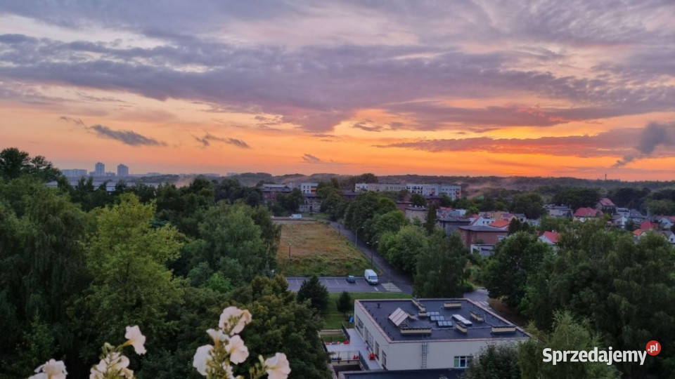 Mieszaknie z widokiem na Park Śląski Sprzedaż śląskie Katowice