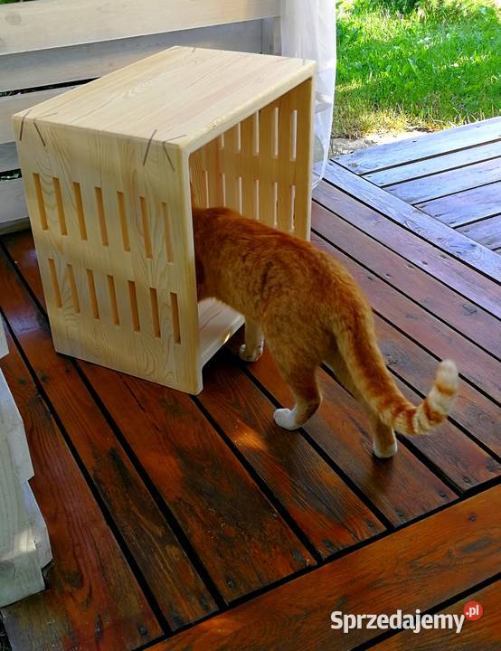 Ława drewniana stolik kawowy ławakostka 30cm